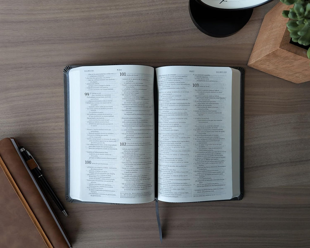 Biblia valor prémium NTV con Filament (SentiPiel, Gris)