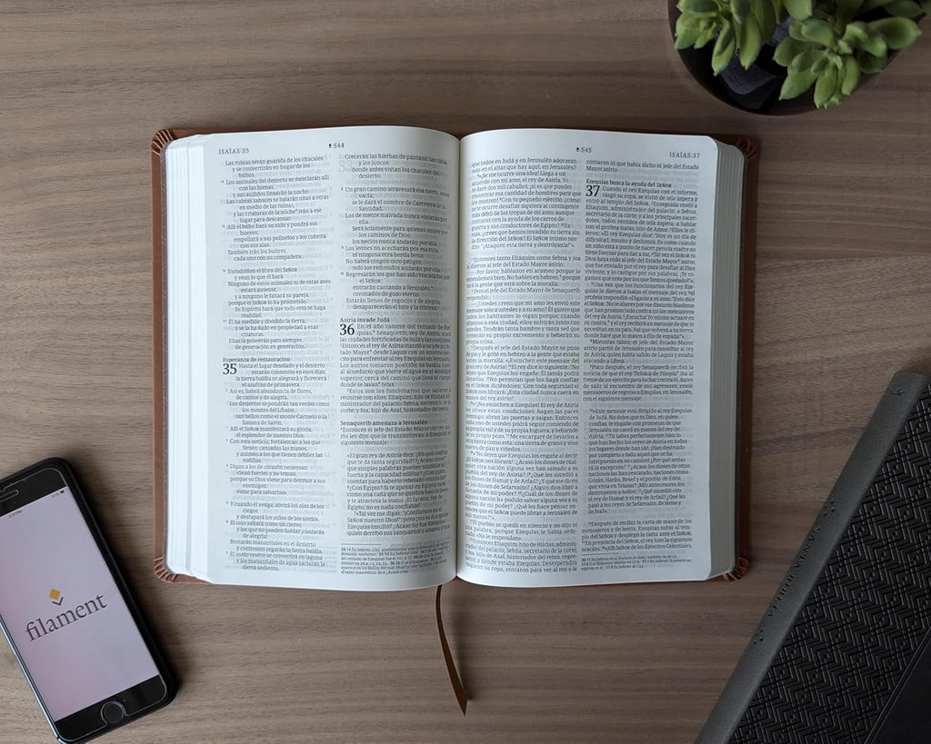 Biblia valor prémium NTV con Filament (SentiPiel, Café)