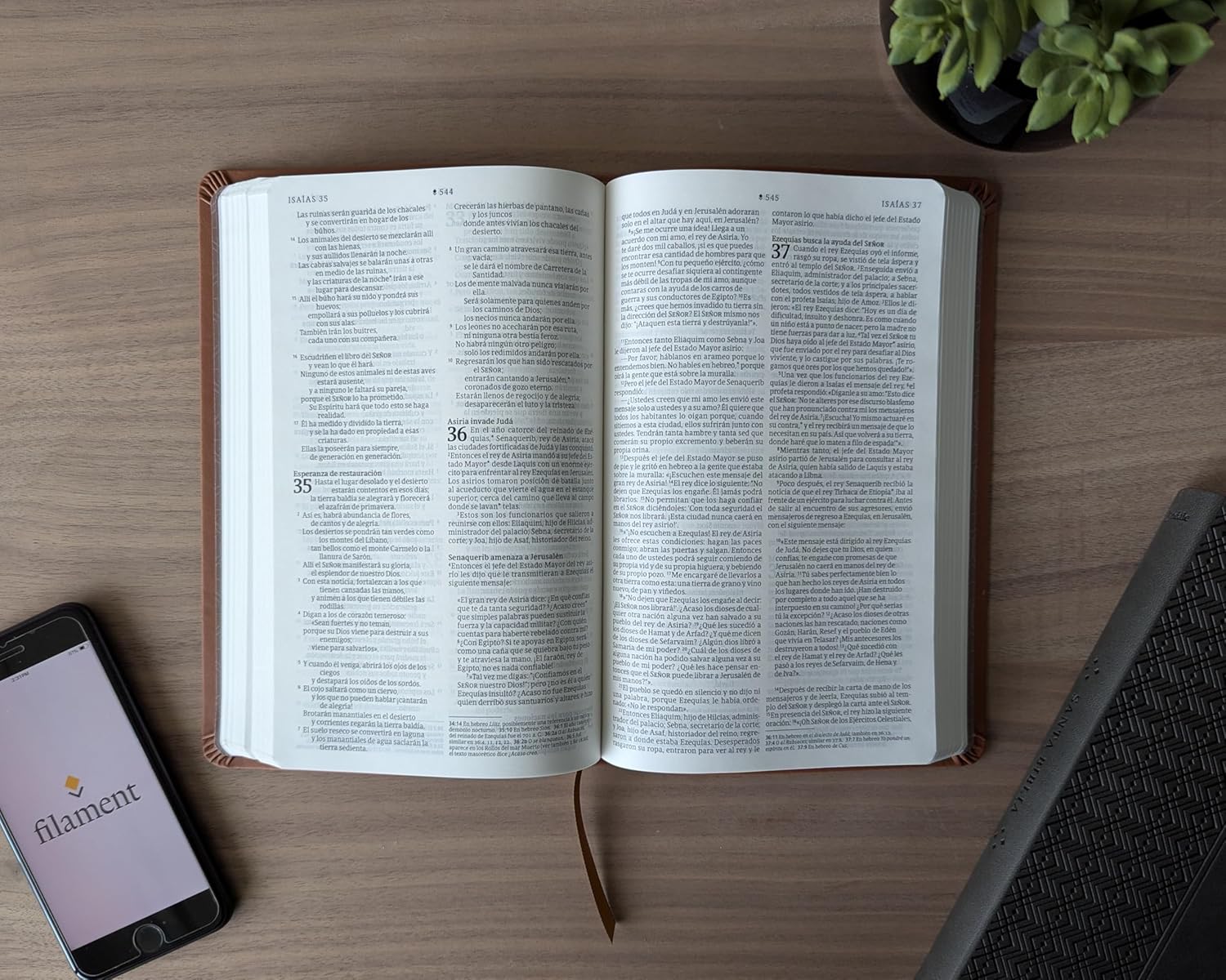 Biblia valor prémium NTV con Filament (SentiPiel, Café)