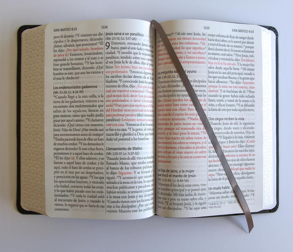 Biblia RVR1960 Letra gigante, símil piel, gris (Edición cantos pintados)