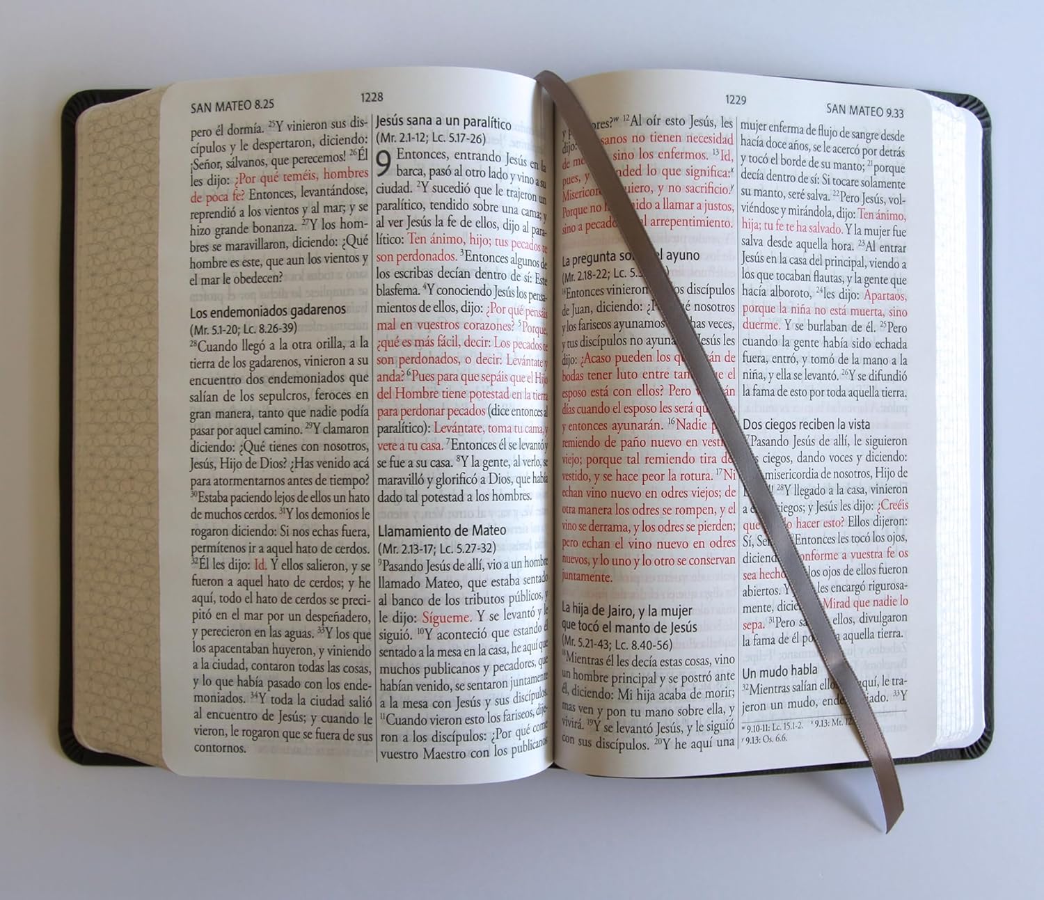Biblia RVR1960 Letra gigante, símil piel, gris (Edición cantos pintados)