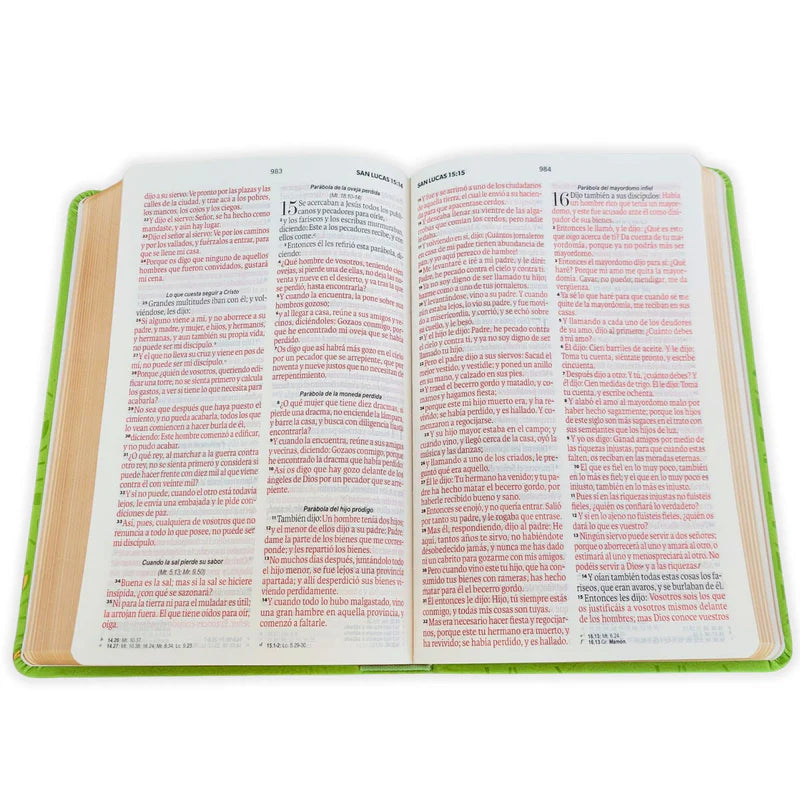 Biblia RVR 1960, Tamaño Manual, Letra Grande, imitación piel verde olivo