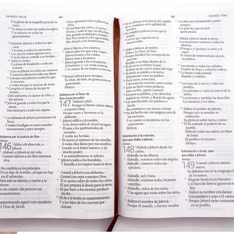 Biblia León de Judá RVR 1960, Letra Grande, Tamaño Manual, Tapa dura marrón