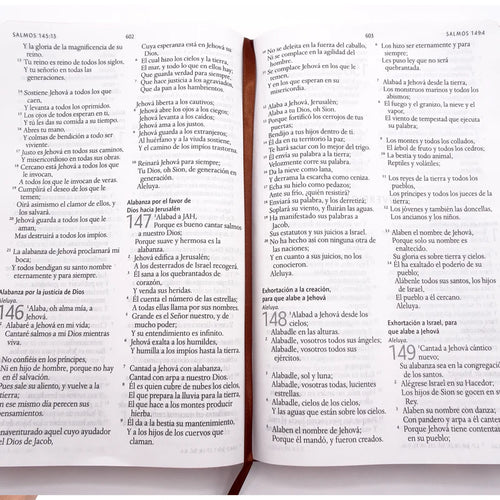 Biblia León de Judá RVR 1960, Letra Grande, Tamaño Manual, Tapa dura marrón