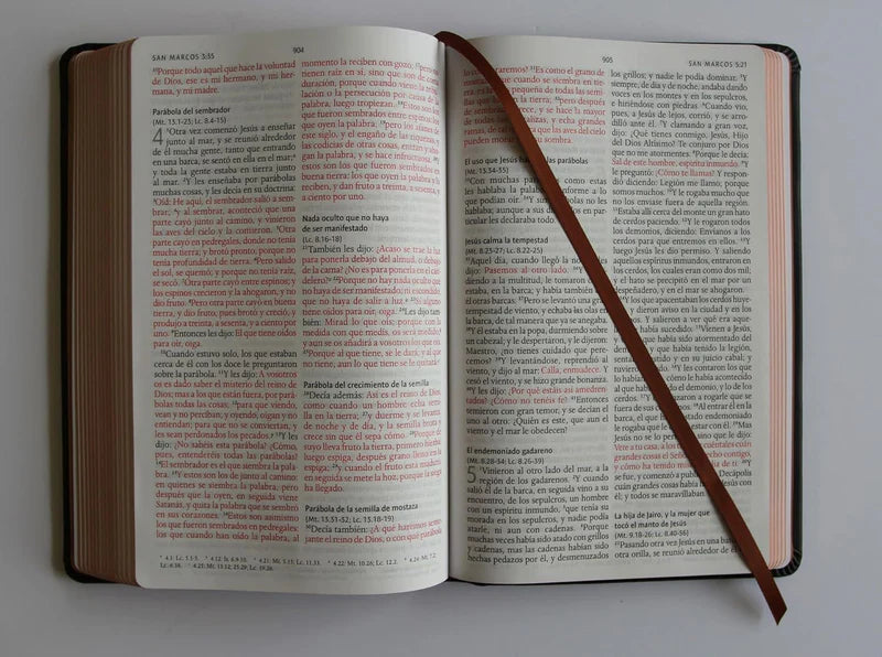 Biblia RVR 1960 León de Judá, Letra Grande, edición especial bronce