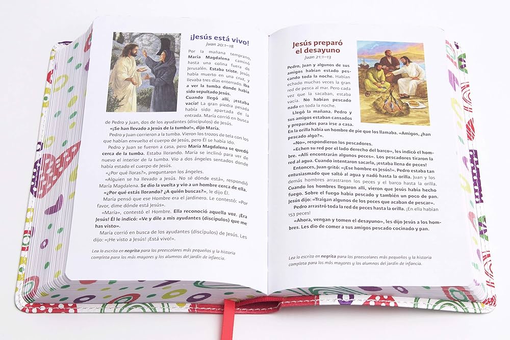 NVI Biblia Luz en mi camino corazones, multicolor simil piel