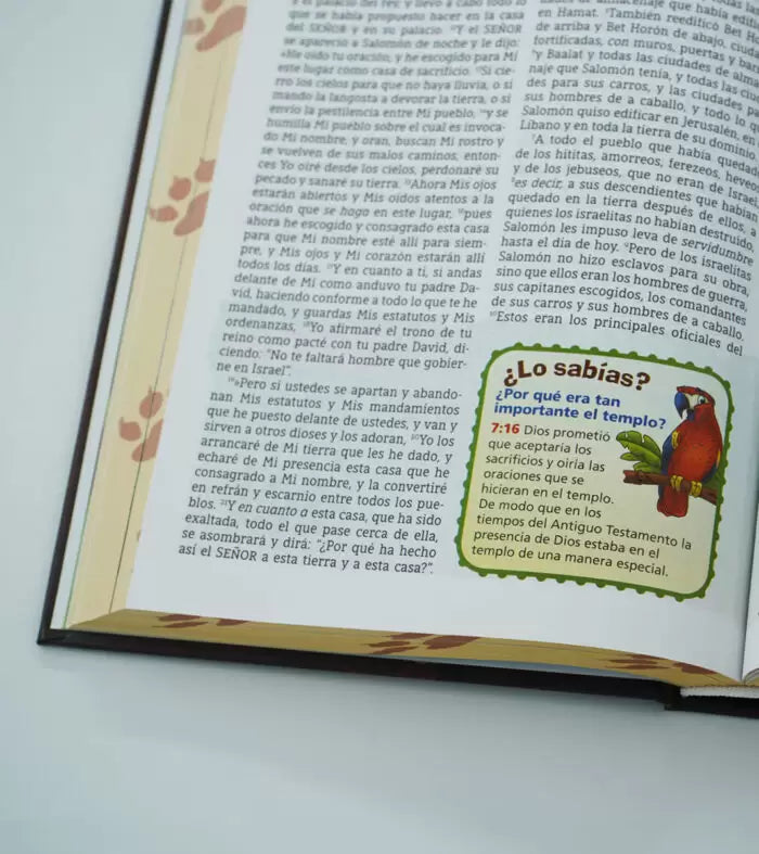 Biblia Aventura NBLA - Tapa dura, Interior a color, Cierre Magnetico