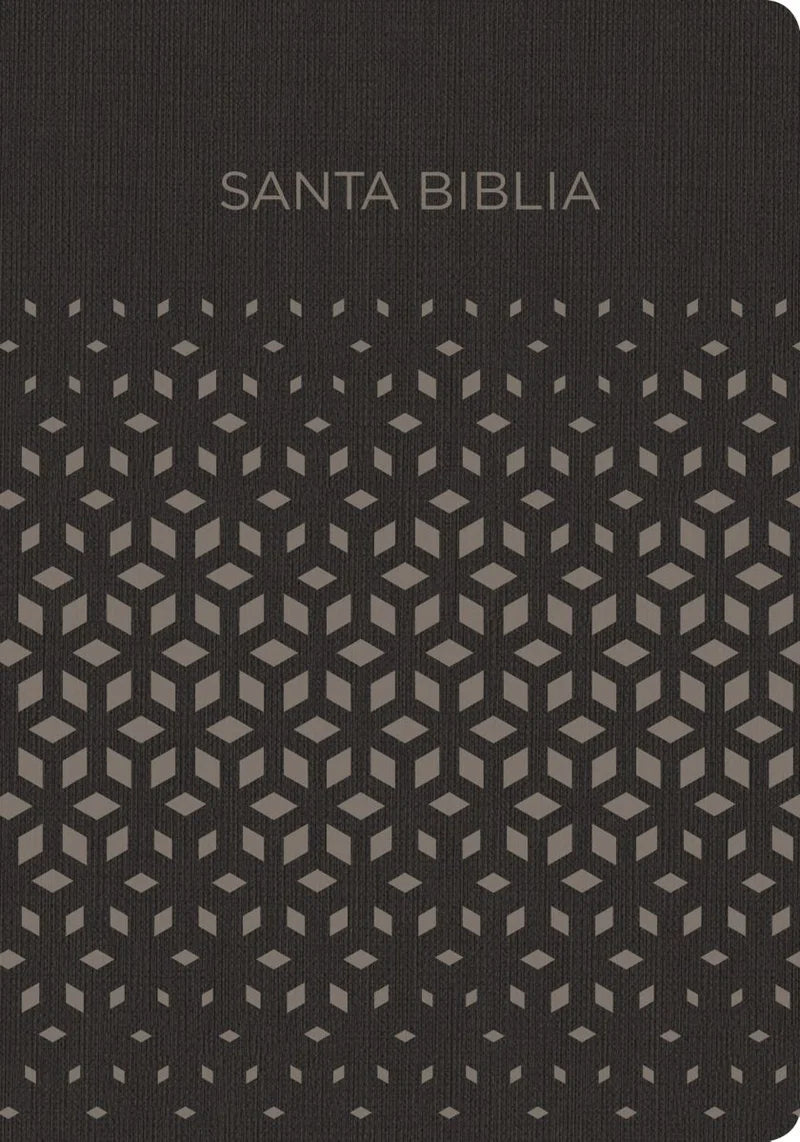 Santa Biblia RVR 1960 para regalos y premios, símil piel negro/plata