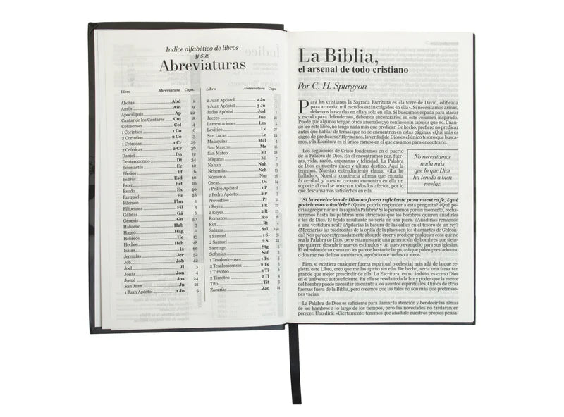 Biblia RVR 1960, Tamaño manual, Letra Grande, Tapa flex León