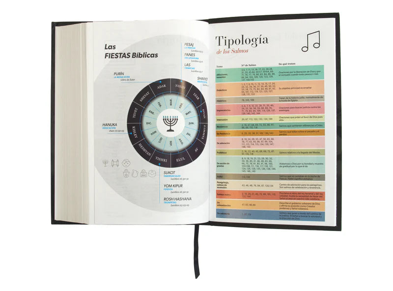 Biblia RVR 1960, Tamaño manual, Letra Grande, Tapa flex León