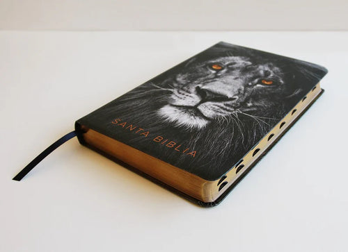 Biblia León de Judá RVR 1960, Letra Grande, con índice, imitación piel negra