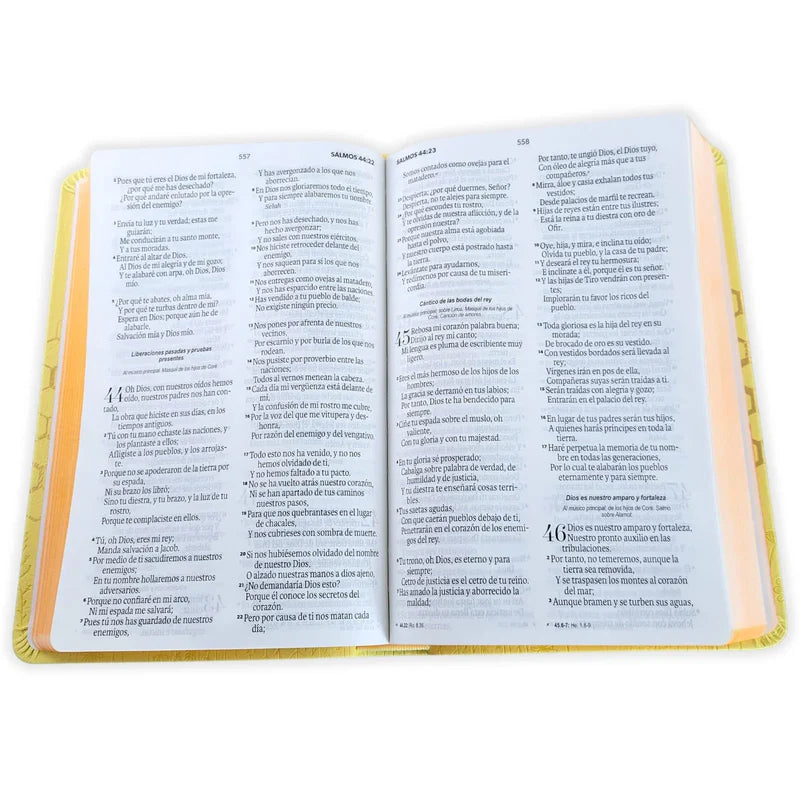 Biblia RVR 1960, Tamaño Manual, Letra Grande, imitación piel amarillo abejas