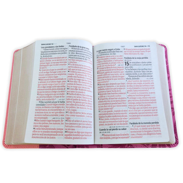 Biblia RVR60 035c PJR bicolor rosa/rosa